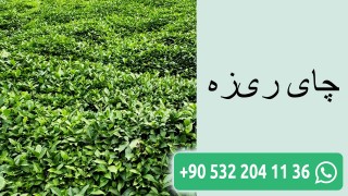 چای ریزه